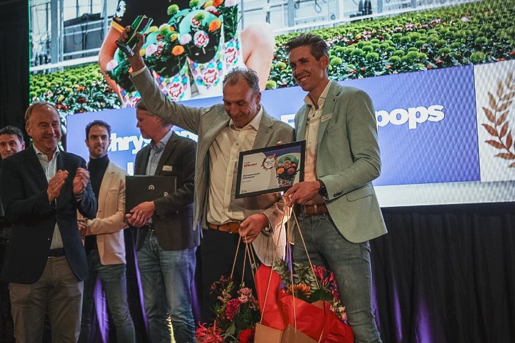 Decorum drie keer prijs bij Glazen Tulp Awards