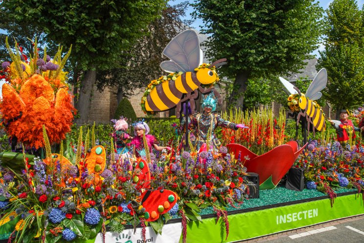 Flower Parade Rijnsburg