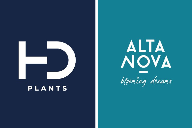 AltaNova Sales per 1 juli verder als twee bedrijven