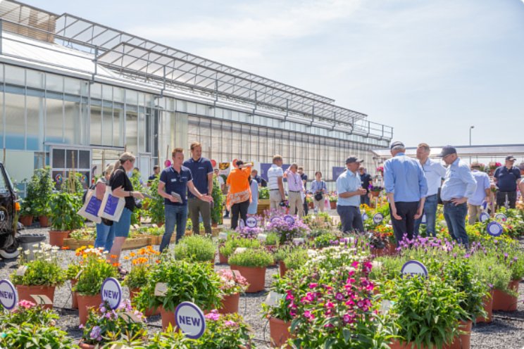 FlowerTrials verbreedt regionale grenzen