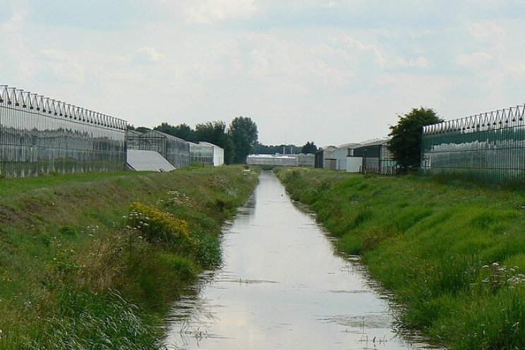 255 controles uitgevoerd in glastuinbouw Delfland