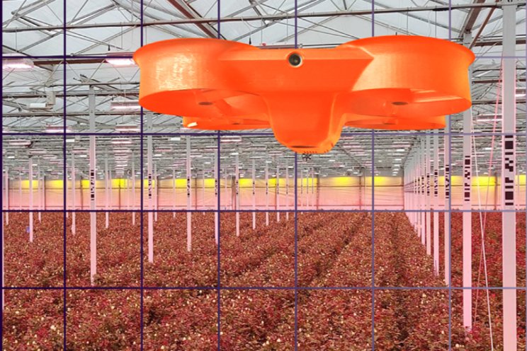 Oogstprognose rozen 90% nauwkeurig door drones