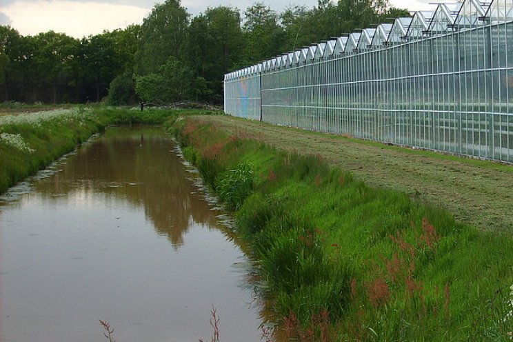 Effluent als kansrijke oplossing voor tuinbouw