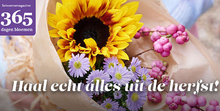 Online magazine 365 dagen bloemen scoort 8,5