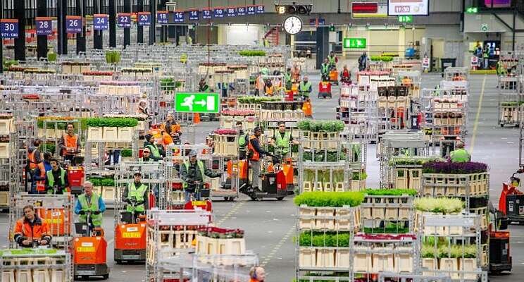 Samenwerken voor extra handen op de veiling 