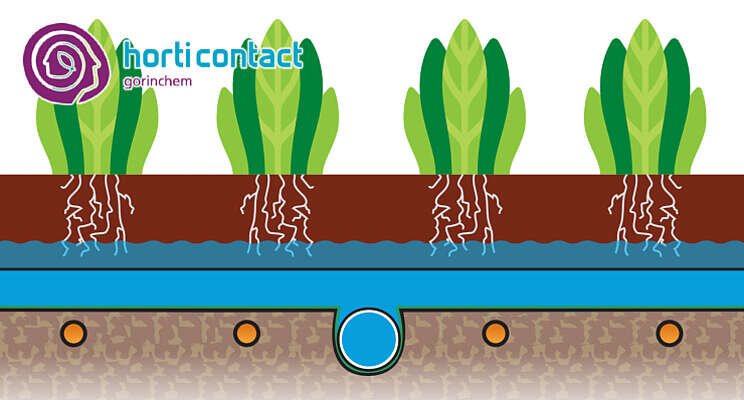 HortiContact Innovation Award - Preshow 2022: Van der Ende