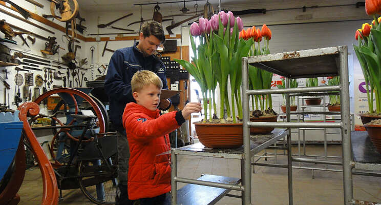 Tulp Ready steelt de show