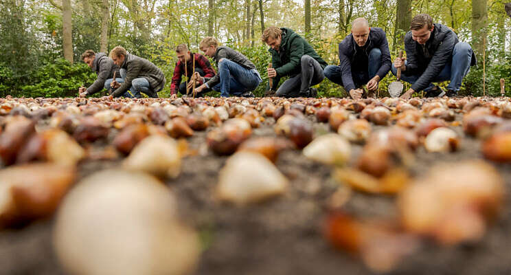 Eigen tuin in Keukenhof voor 'Bollenjongens'