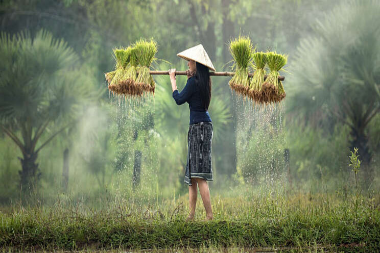 Jungle Talks to the World - Vietnam