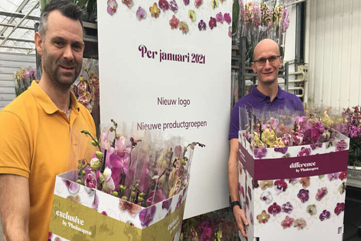 Nieuwe productgroepen kwekerij Phalaenova 